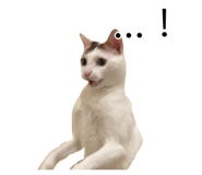 885492782