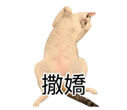 885492784