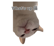 885492786