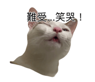 885492790