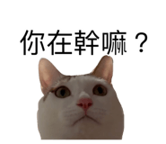 885492793