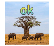 885497668