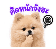 885501344