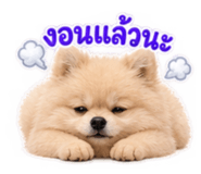 885501345