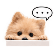 885505603