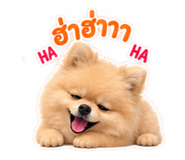 885505615