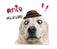 885510585