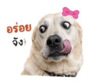 885510588