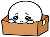 885528498