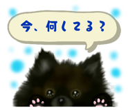 885530531