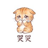 885530635