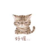 885530650