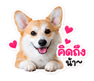 885538249