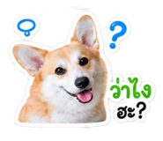 885538253