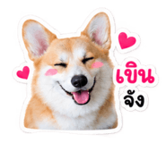 885538255