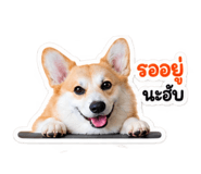 885538256