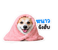 885538258