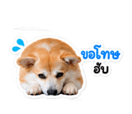 885538259