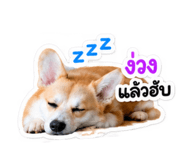 885538260