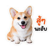 885538264