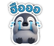 885543728