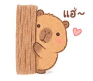 885552326