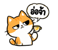885553491