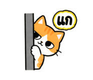 885553496