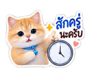 885553992