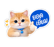 885553997