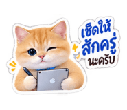 885553998