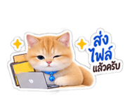 885553999
