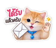 885554000