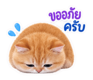 885554020