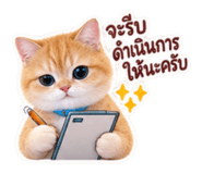 885554023