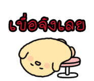 885554120