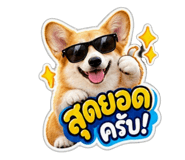 885554164