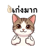 885555457