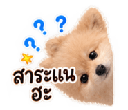 885558258
