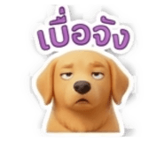 885558720