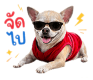 885559137