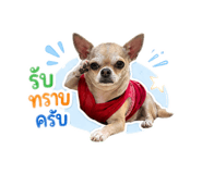 885559142