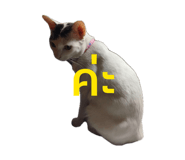 885559765