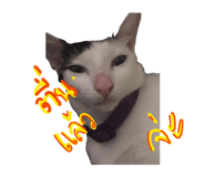885559767