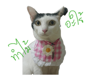 885559768