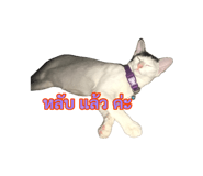 885559769