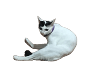 885559771