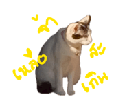 885559773