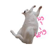 885559774