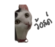 885559777